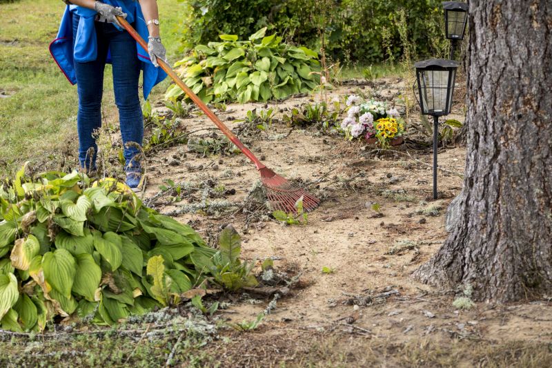 Post-Storm Yard Care