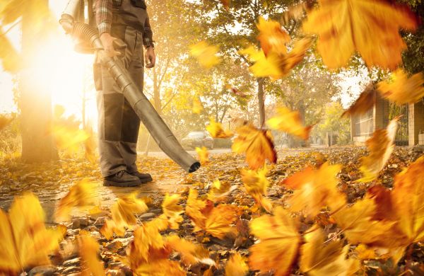 Leaf Blowing Service in Chico