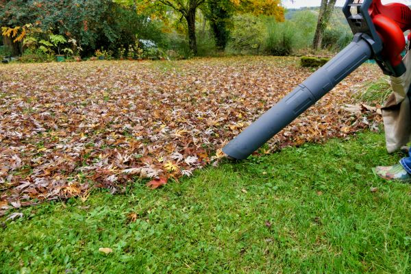 Leaf Vacuuming Service in Chico