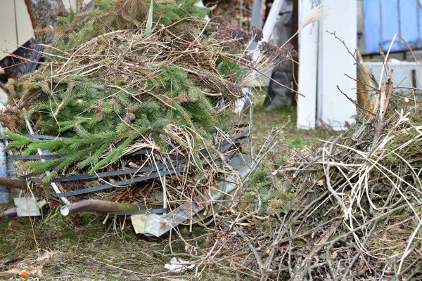 Yard Debris Removal in Chico