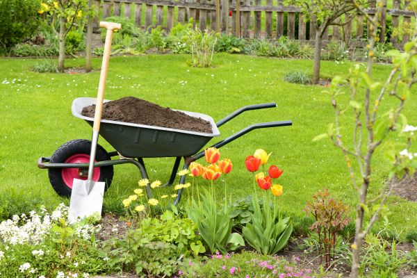 Cost of Spring Yard Cleanup in Chico