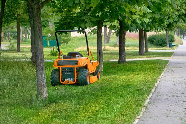 Landscaping Cleanup Service in Chico