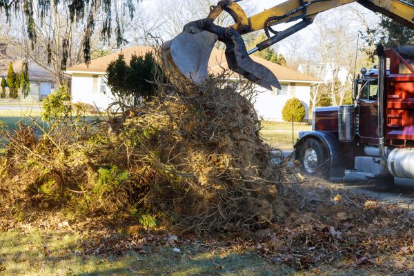 Storm Debris Removal in Chico