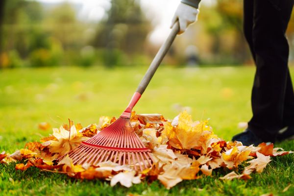 Cost of Ditch Leaf Removal in Chico