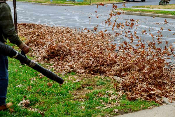 Cost of Garden Leaf Removal in Chico