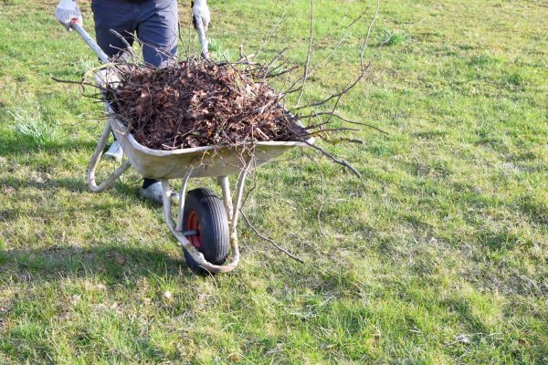 Yard Brush Removal in Chico