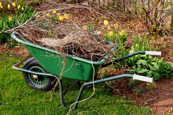 Lawn Waste Removal in Chico