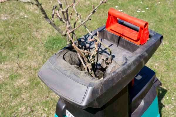 Brush Cleanup Service in Chico