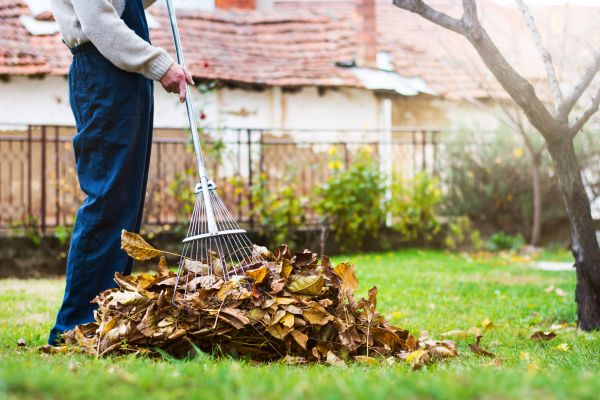 Cost of Fall Yard Cleanup Service in Chico