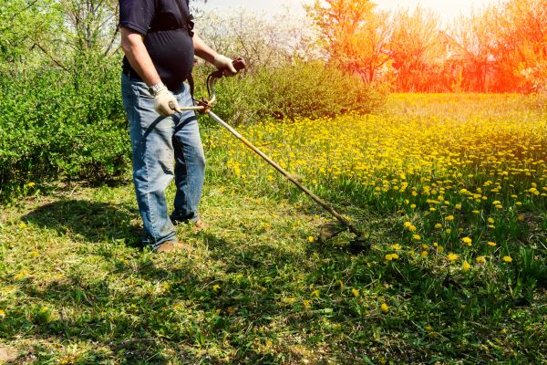 Cost of Yard Clearing Service in Chico