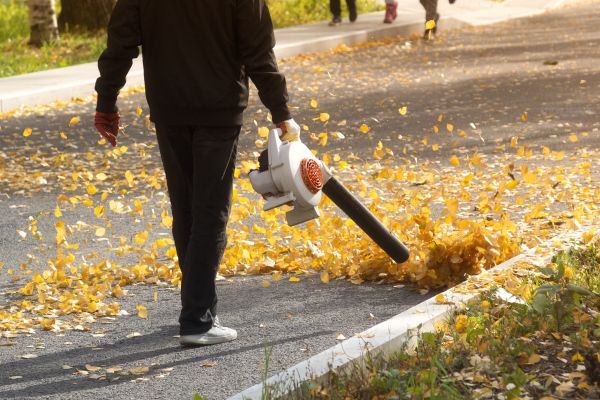 Commercial Leaf Removal in Chico